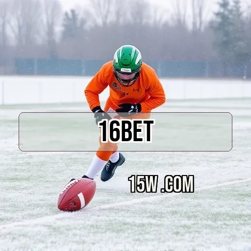 16bet: Benefícios Exclusivos da Seção VIP para os Usuários